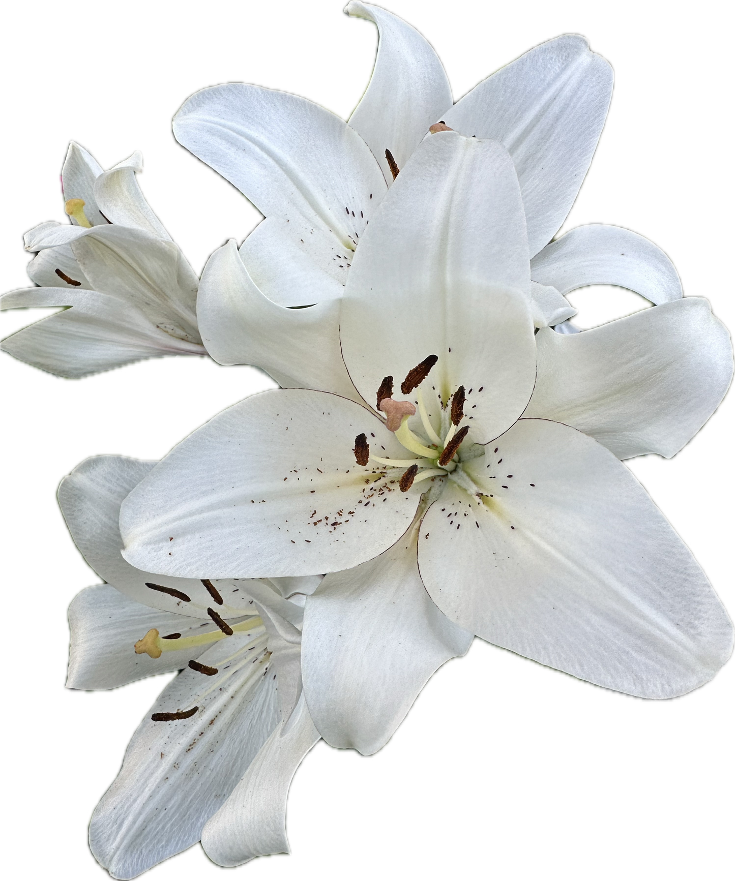 'de Emeralds' Ring and Earrings Set - Sterling Silver 925, handmade, forged, and hammered