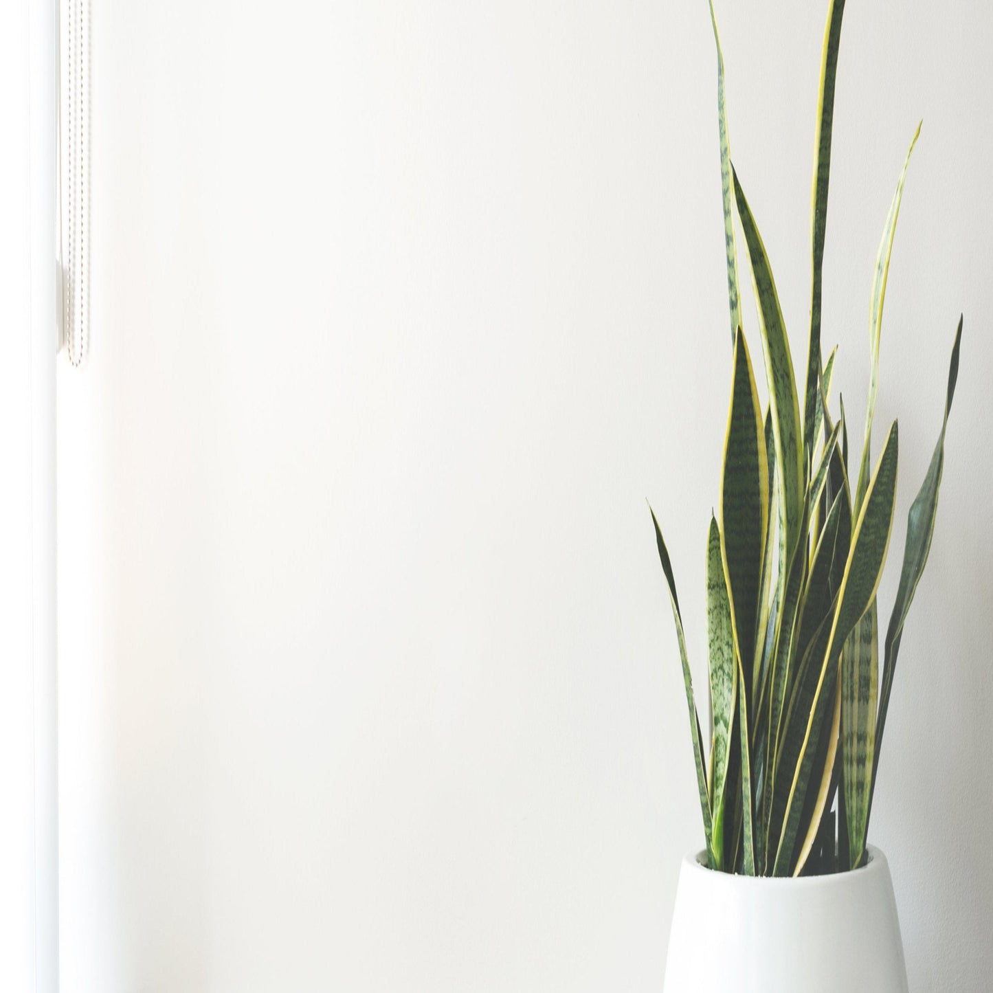 'de White' Smell - Home Fragrance