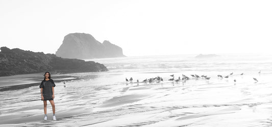 Bay Area, California - Beach and Surfing.