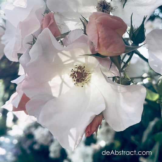 Why Beauty Matters in a World We’ve Built.