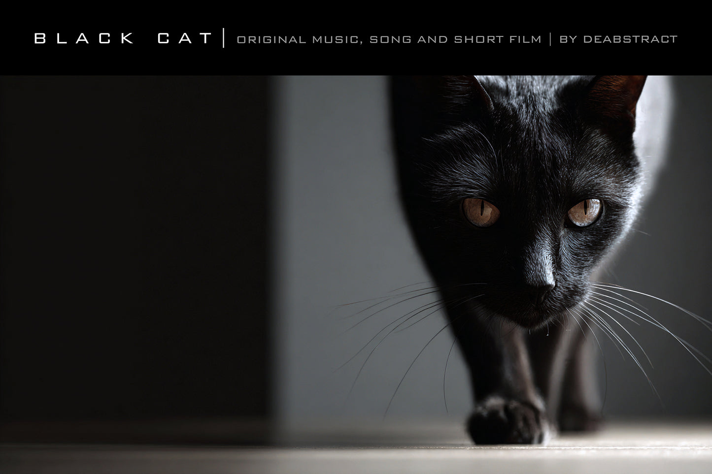 Black Cat  - Poster 11