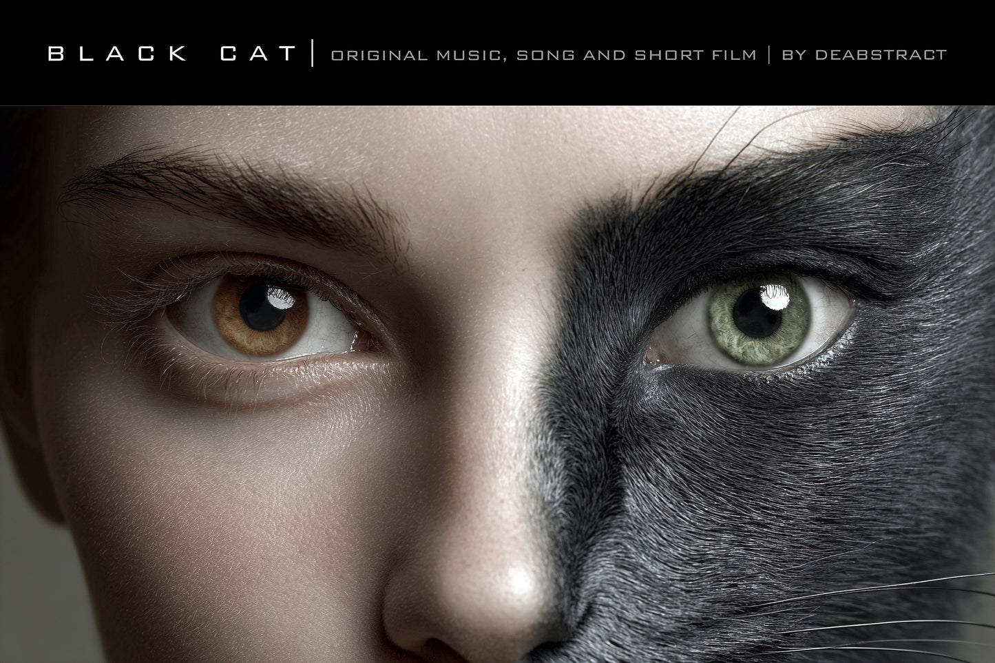 Black Cat  - Poster 5