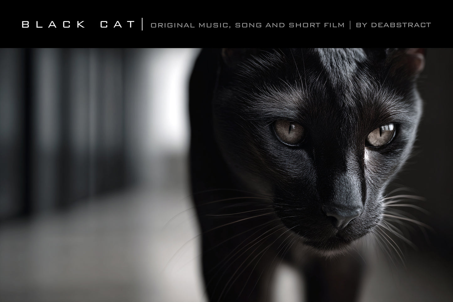 Black Cat  - Poster 9
